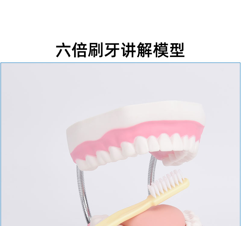 趣味護齒，健康成長——幼兒口腔健康教學玩具的創新應用